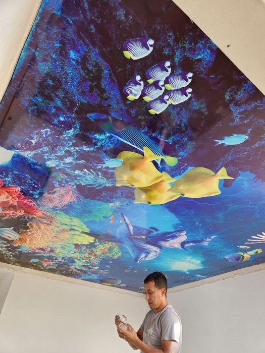 Натяжной потолок