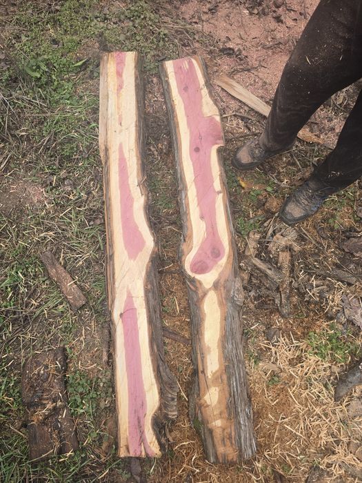 Vând 2 buc lemn de cedru pentru masa epoxy