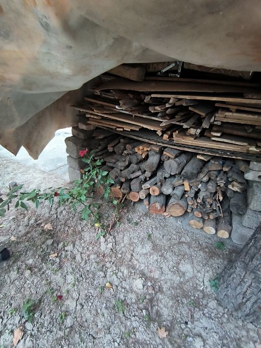 Otin sotiladi srochna