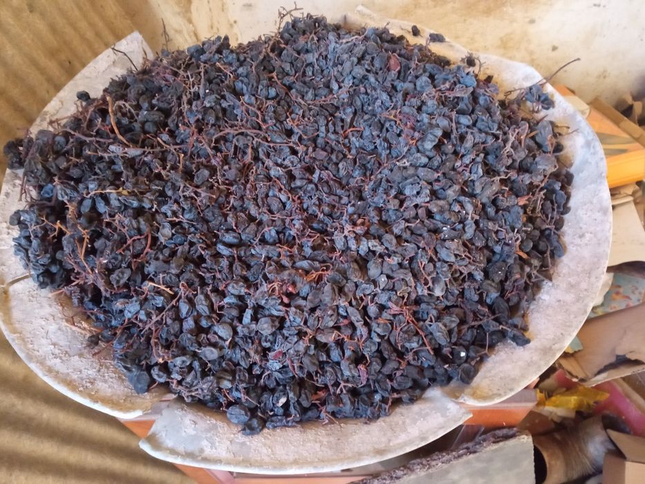 Продается.   Майис.   Моллар.   Учун.  Яхши