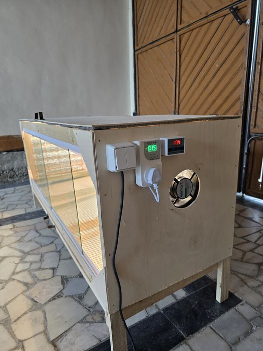 Bruder брудер жужа учун