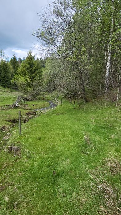 Teren intravilan de cabană la munte