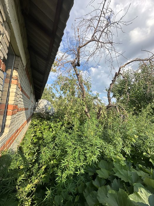 Продам квартиру в двухквартирном доме
