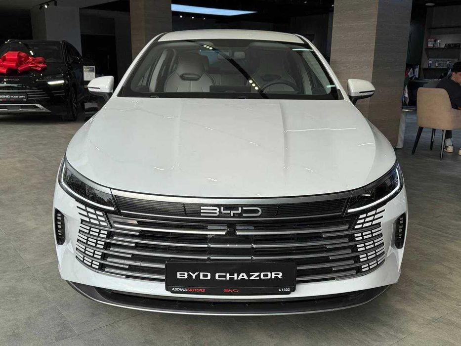 BYD Chazor Active 55 km