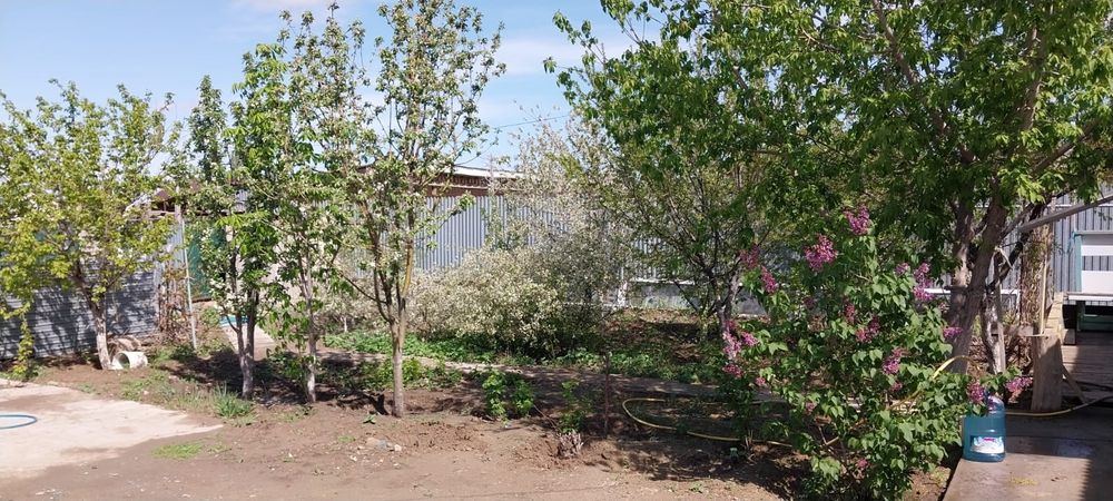 Большой дом в геологе