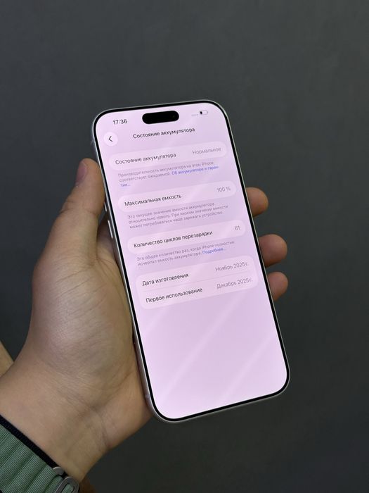 Iphoen 17 Pro Max 256 GB 100% | Mobile Zone