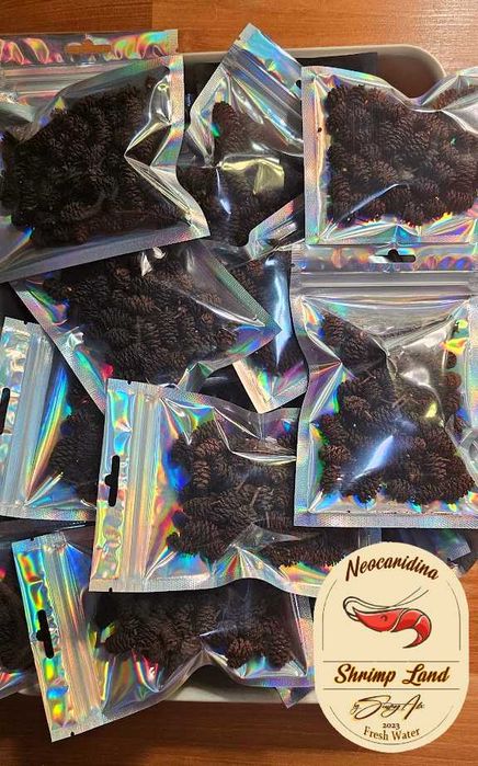 Neocaridina Blue Diamond Rili & Bloody Mary, Conuri Arin, Hrana