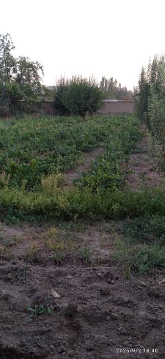 Toshkent viloyati Parkent tumanida 10 sotix uchastka sotiladi