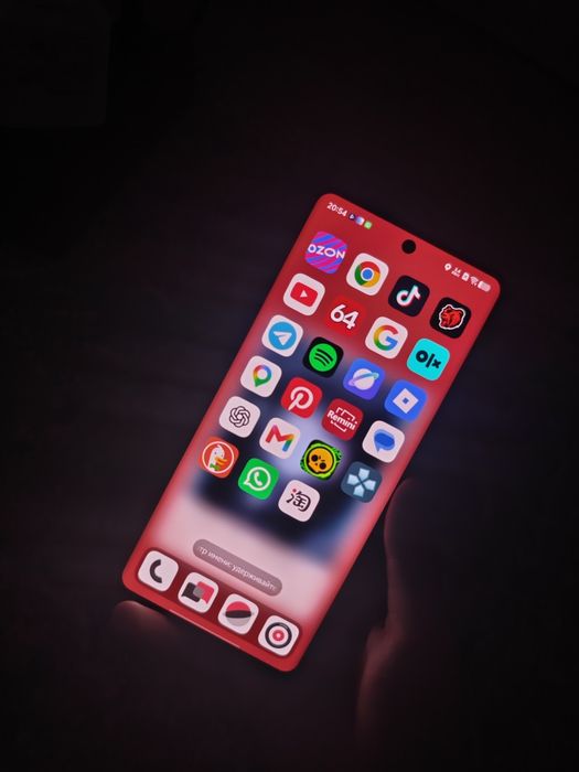 vivo x100 pro 256