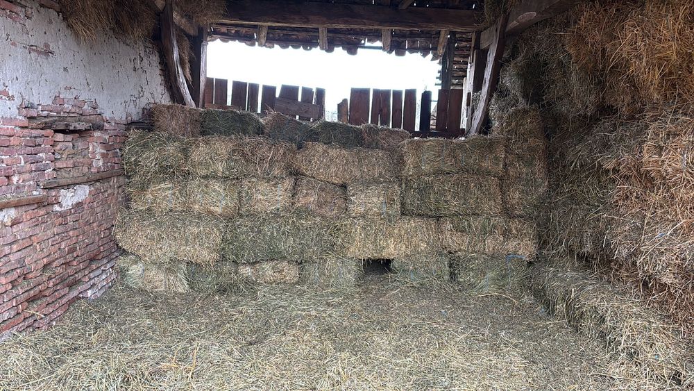 Vand baloti de lucerna si fan