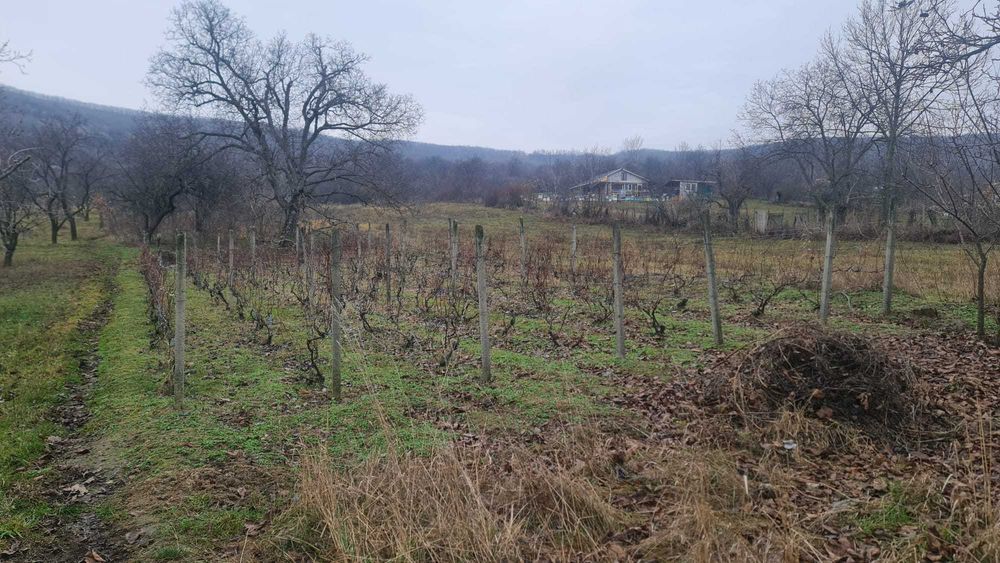 teren + casa batraneasca satul Hilita com Costuleni intravilan