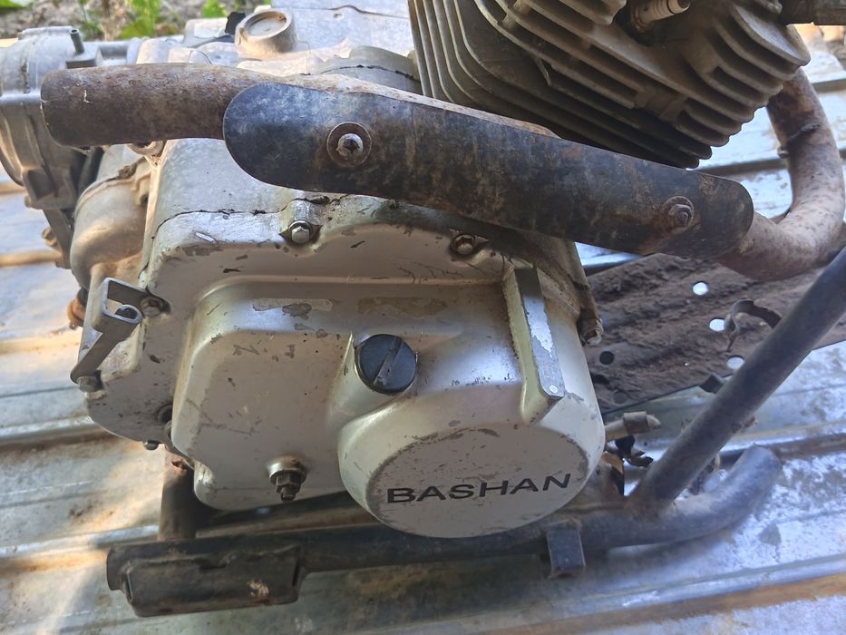 Motor bashan 300