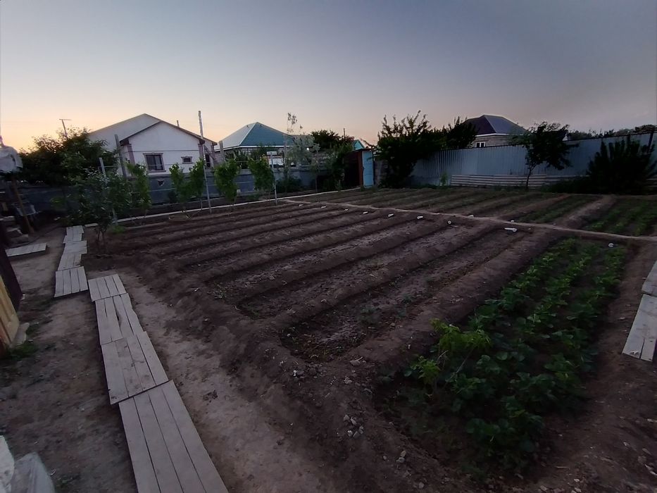 курилкино рыбник