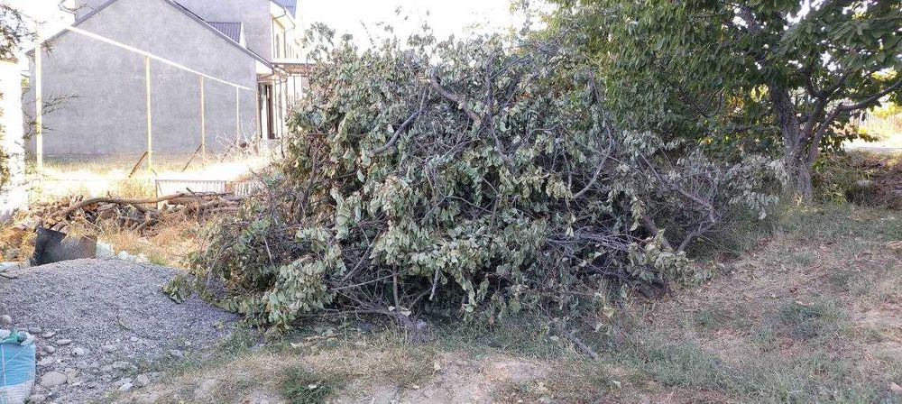 O'tin shox, дрова