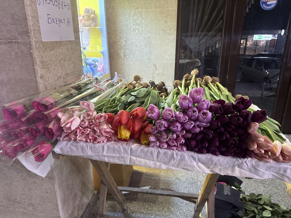 Тюльпан бар. 700 тг