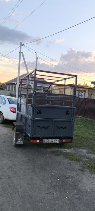Коневозка прицеп