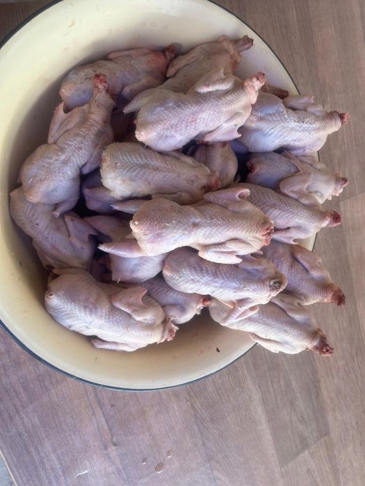 Продается мясо перепелки