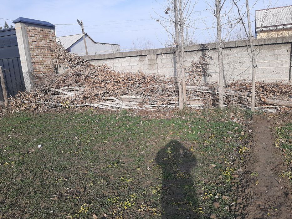 Utin sotiladi  va temirlar