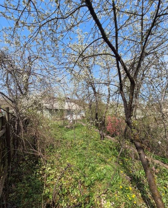 CASA SI CURTE Teliuc  vedere spre lac