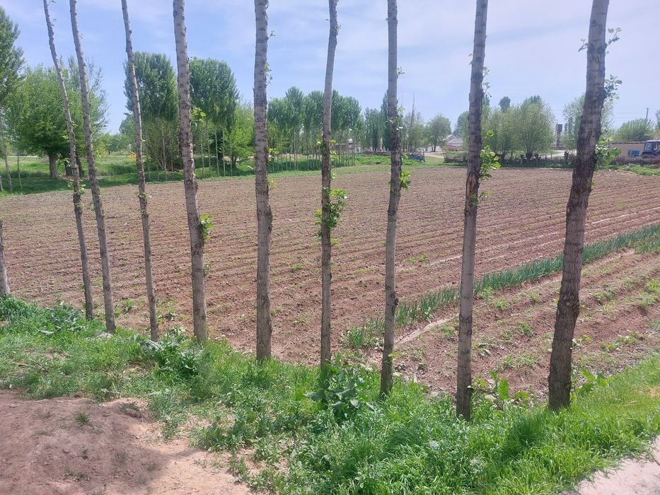 Уй сотилади. 6 хонали. Ташкент вилояти, Бука тумани, Хужақургон МФЙ.