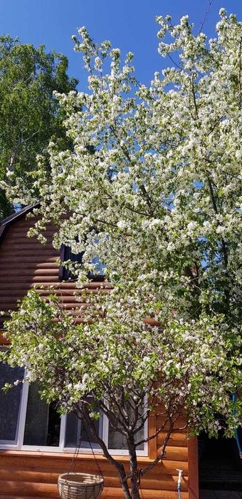 Продается дача в с/о Вагонник