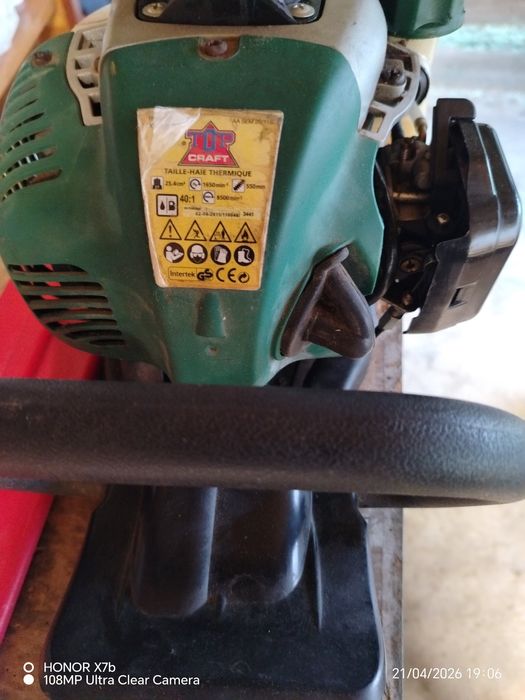 Pe benzină, foarfecă de gard viu sau tuia.