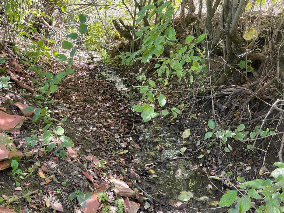 Продава се Земеделски имот в с. Драгоево, Област Шумен -  кв.м за 8 €/дка - Снимка #6