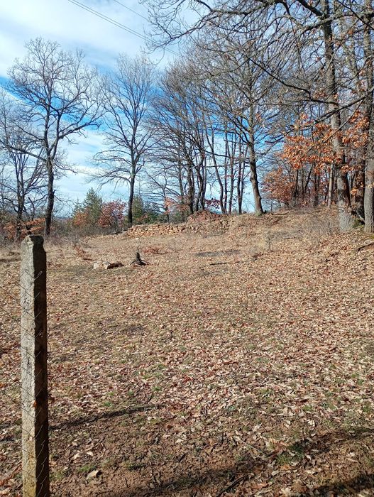 Имот в с.Дреново