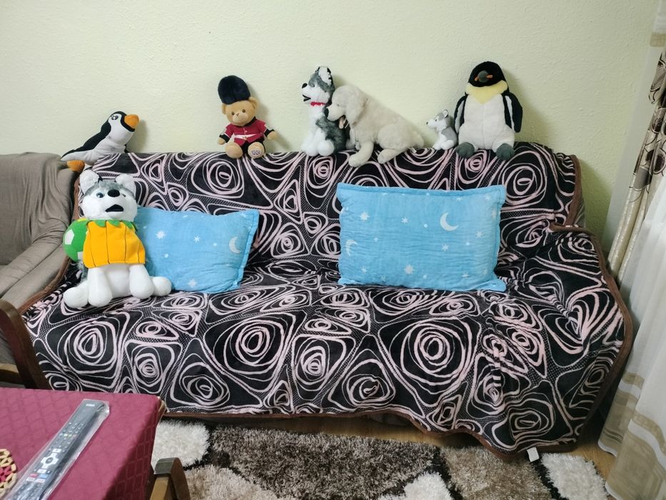 FOTOLII si Canapea 2 persoane extensibila