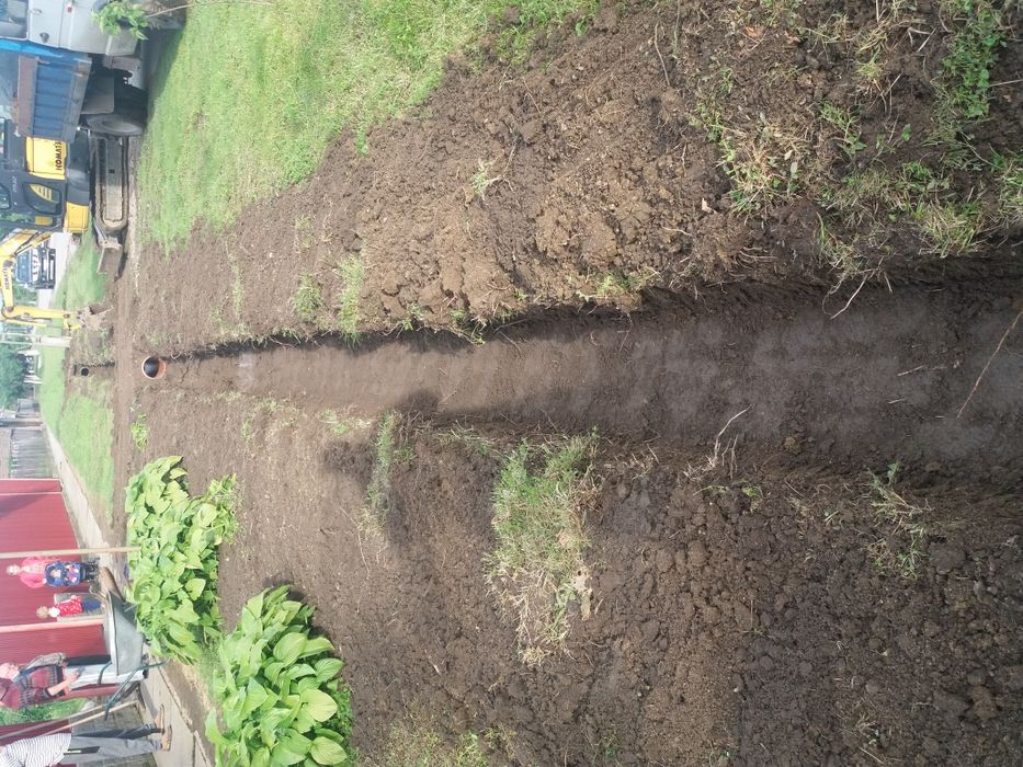 Pământ negru vegetal