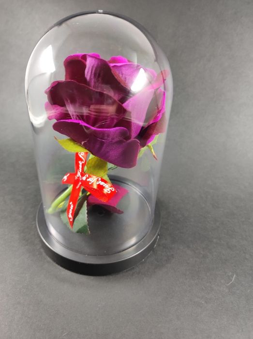 Trandafir de catifea in cupola de plastic