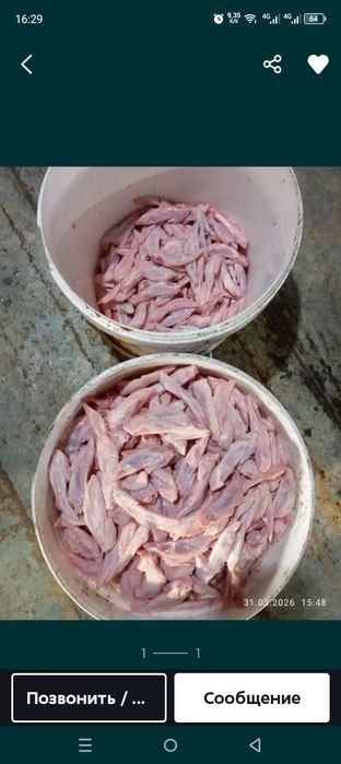 Отходы  куриные  крылышки