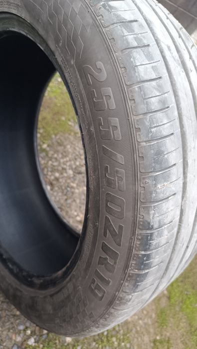 Продам комплект болонов