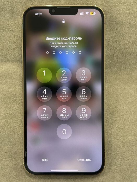 Iphone 13 pro max