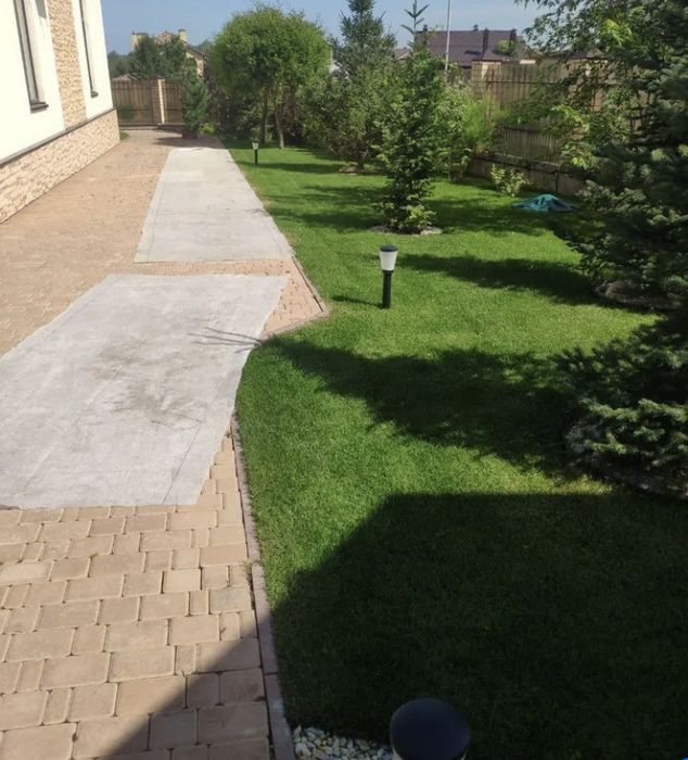 Газон , газон под ключ , рулонный газон