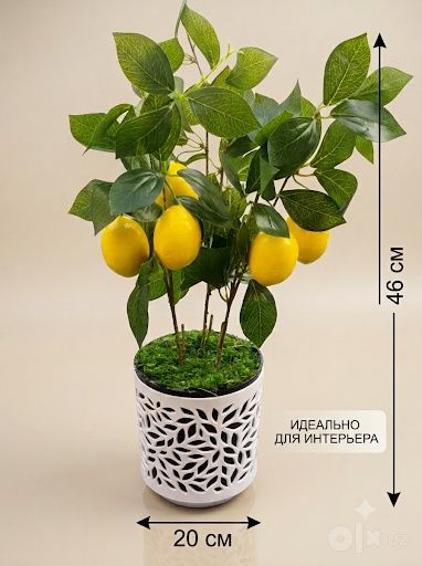 Искусственные растения