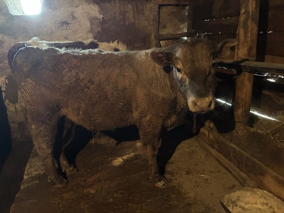 Обмен на камри 35