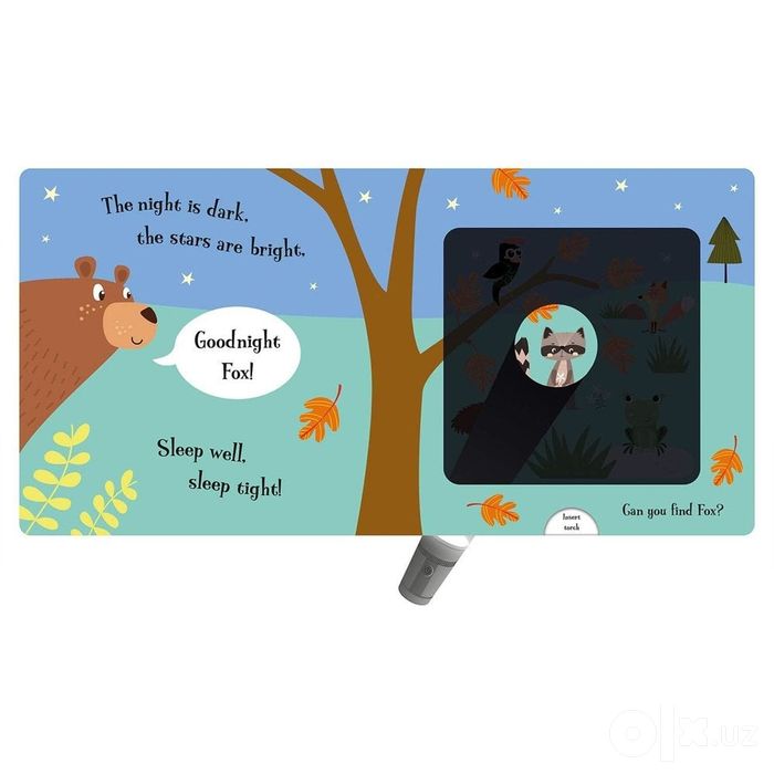 A magic torch book