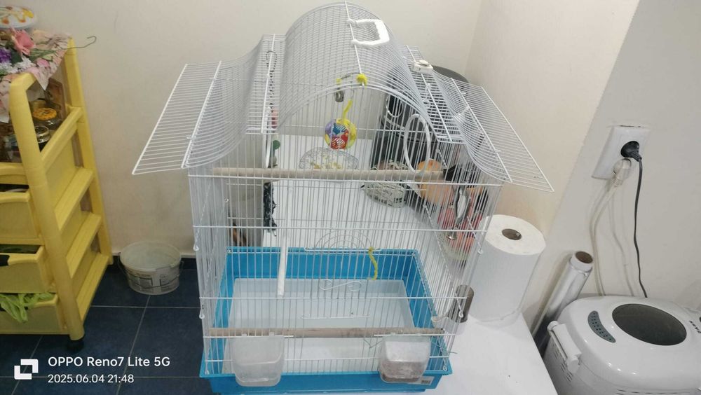 Vand colivie papagal