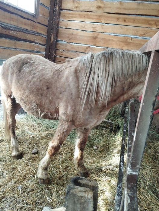 Атбасарский район