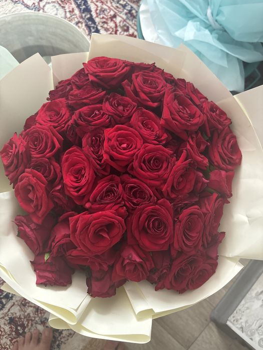 Продам цветы по договорной цене