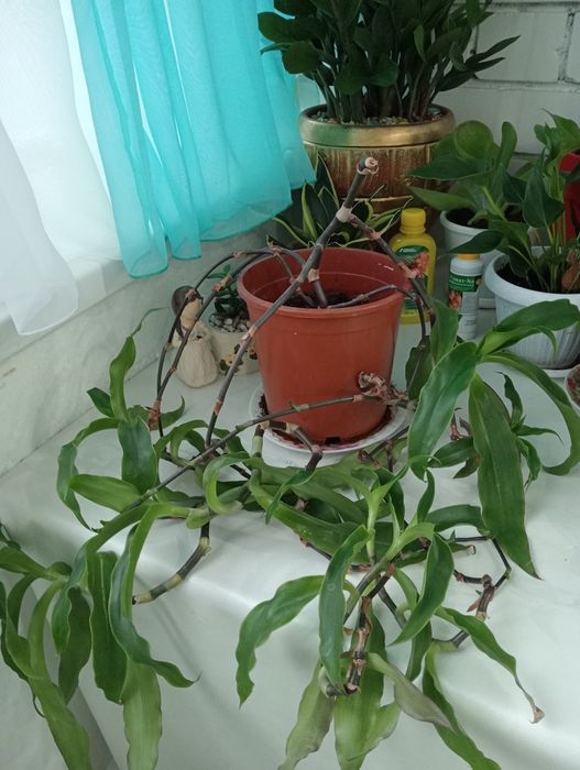 Уютные и Красивые для Вас