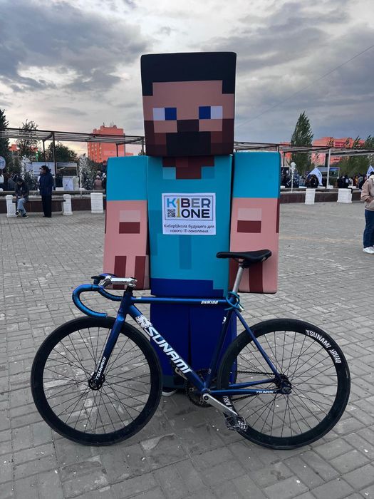 Фикс TSUNAMI snm 100