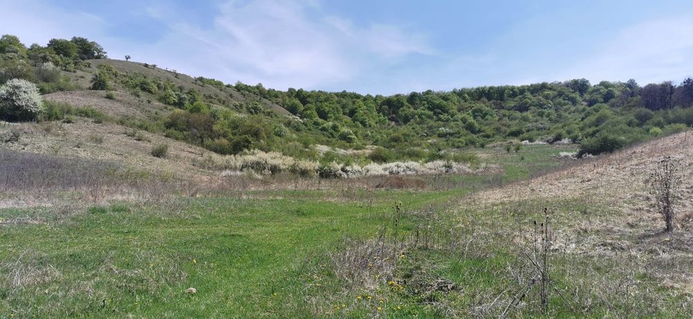 Teren Valea Garboului Florești