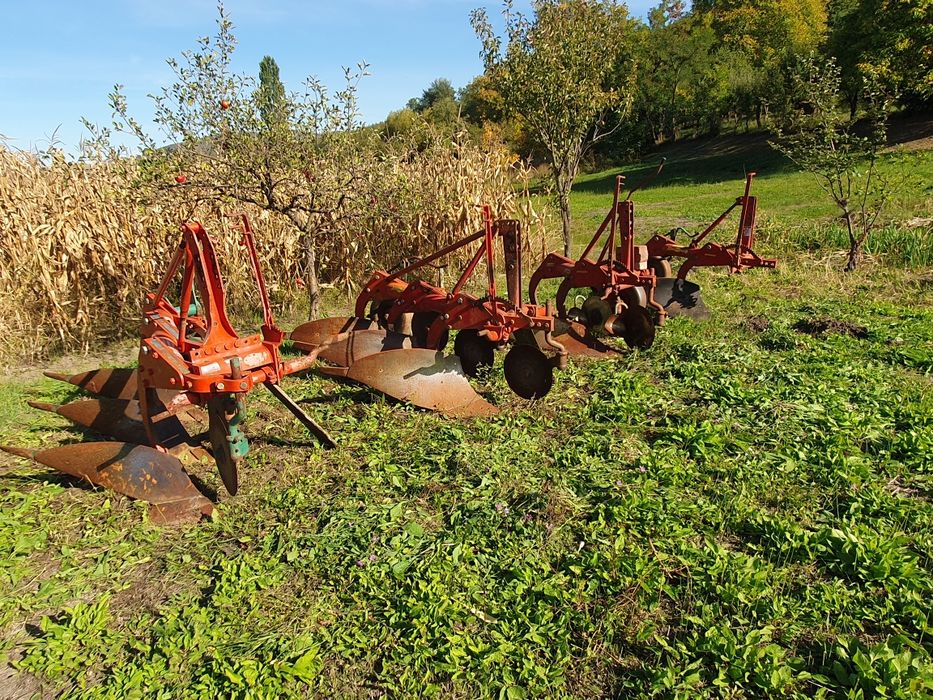 Import Germania nr 12 și nr 14
