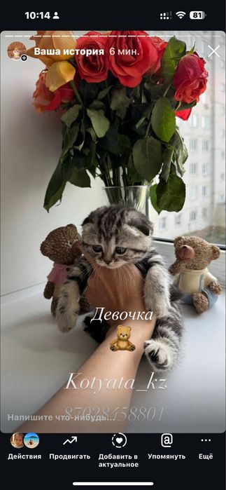 Шикарные мрамора с документами