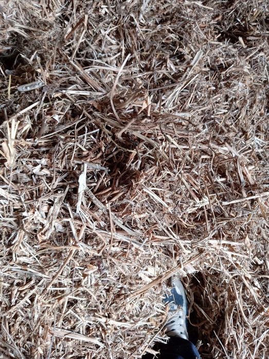 Соевая солома россыпью