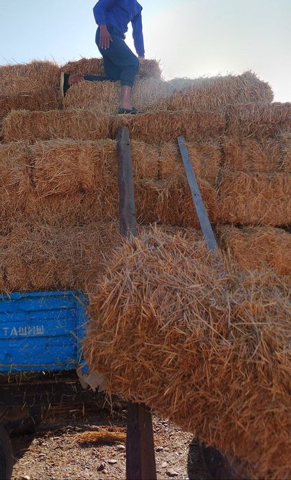 Pres sotiladi Somon, Tariq, Beda, Makka.