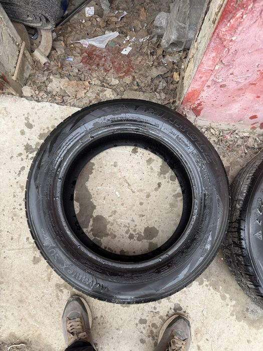 Шина все сезонка