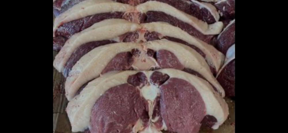 Мясо  конина мясо